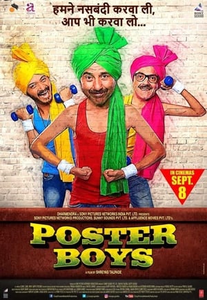 Poster Boys 2017 350MB Full Movie 480p HDRip Download