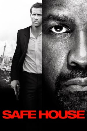 Safe House (2012) Hindi Dual Audio 480p BluRay 350MB