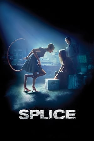 Splice 2009 Hindi Dual Audio 480p BluRay 330MB